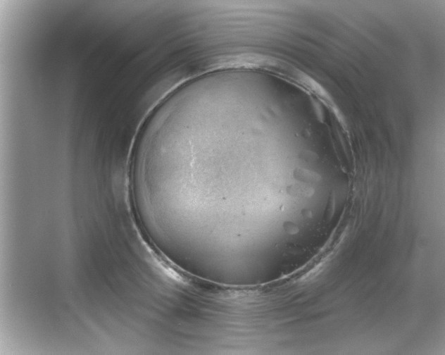 X0000068850802200605121408