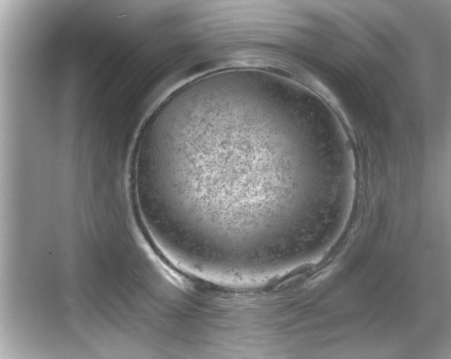 X0000068850803200605121408