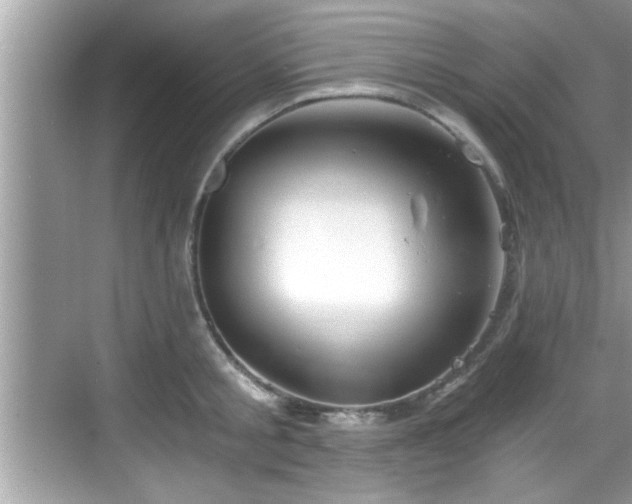 X0000068850805200605121408