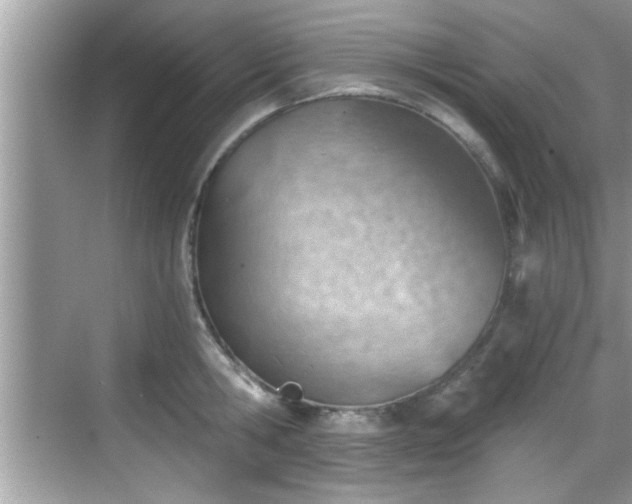 X0000068850806200605121408