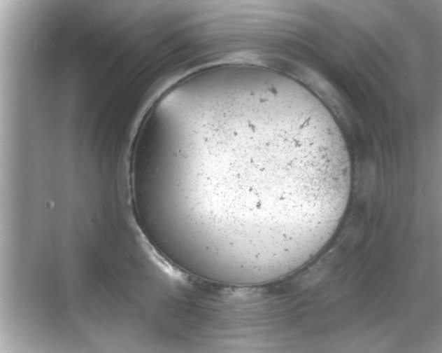 X0000068850808200605121408