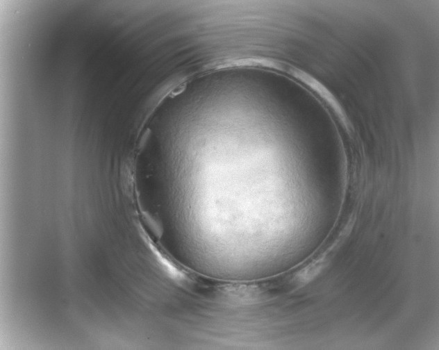 X0000068850809200605121408