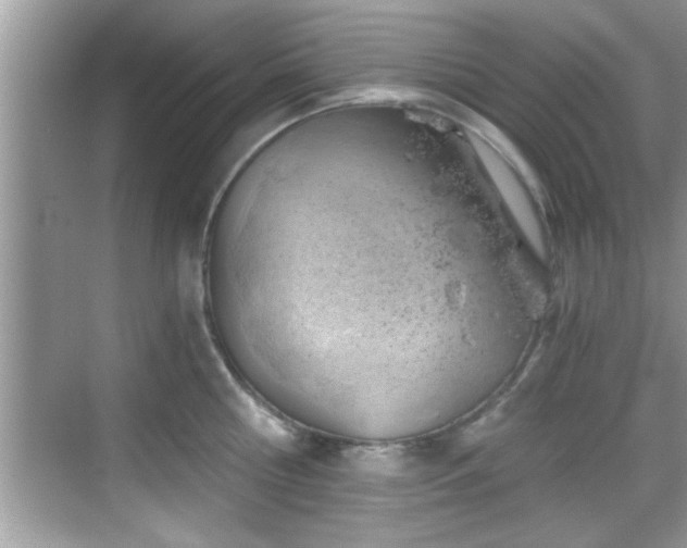 X0000068850810200605121408