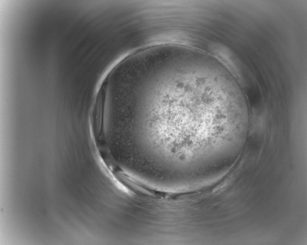 X0000068850812200605121408