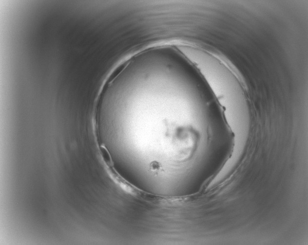 X0000068850813200605121408