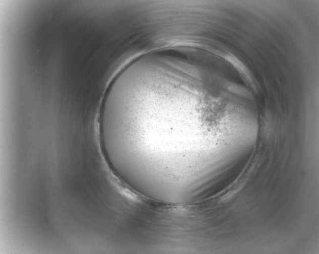 X0000068850814200605121407