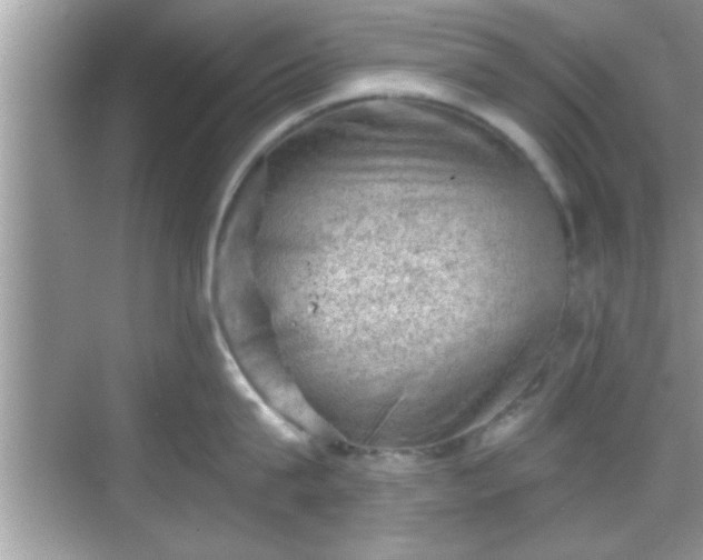 X0000068850815200605121407