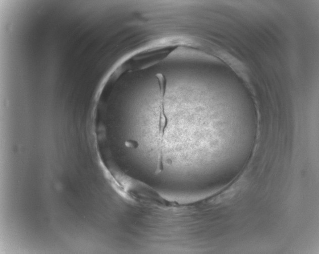 X0000068850816200605121407