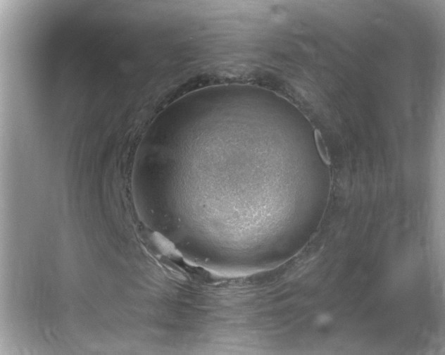 X0000068850817200605121407