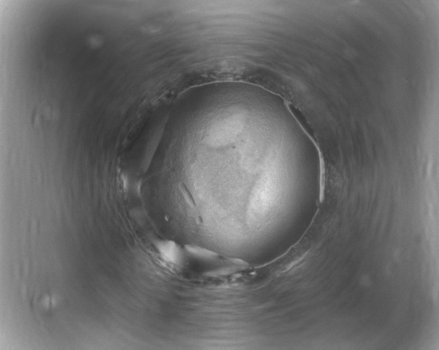 X0000068850818200605121407