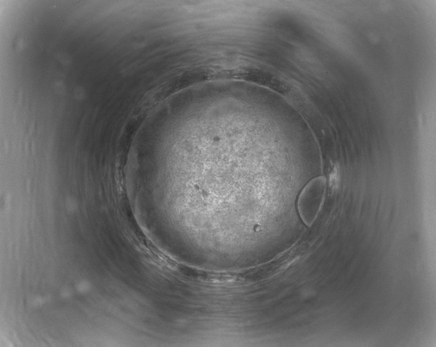 X0000068850819200605121407