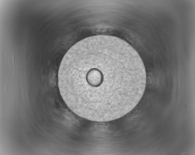 X0000068850820200605121407