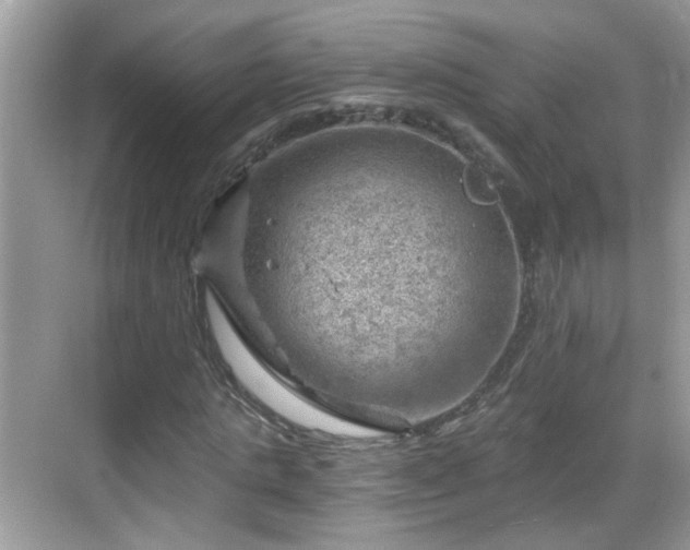 X0000068850821200605121407