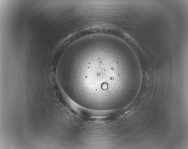 X0000068850822200605121407