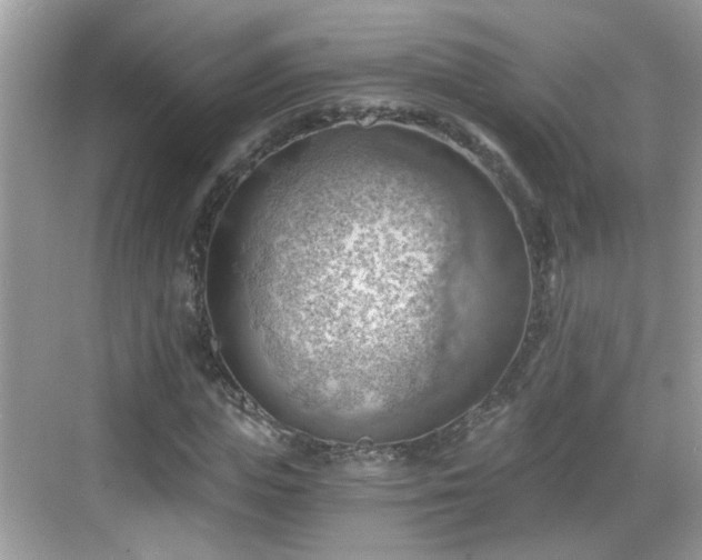 X0000068850823200605121407