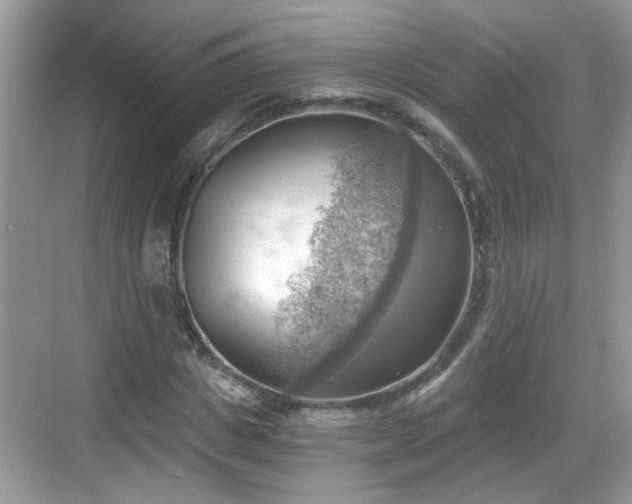 X0000068850825200605121407