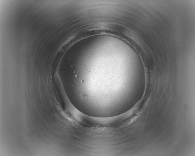 X0000068850826200605121407