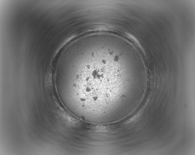 X0000068850827200605121407