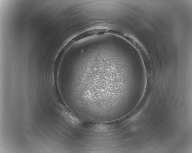 X0000068850829200605121407