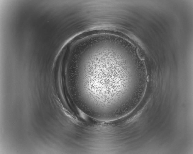 X0000068850830200605121407