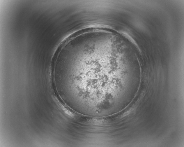 X0000068850831200605121407