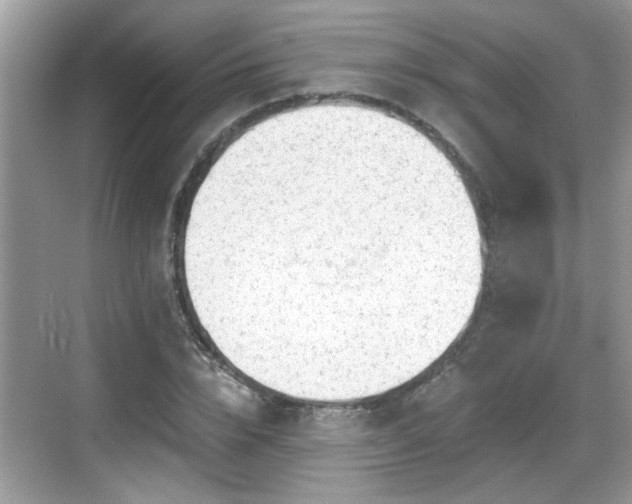 X0000068850832200605121407