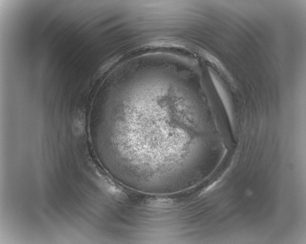 X0000068850833200605121407