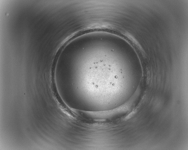 X0000068850834200605121407