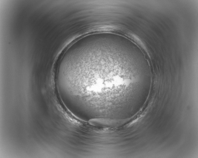 X0000068850835200605121407