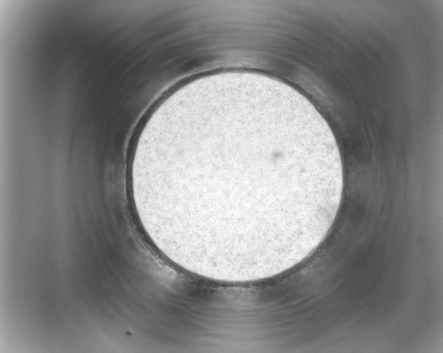 X0000068850836200605121407