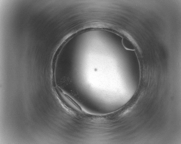 X0000068850837200605121407