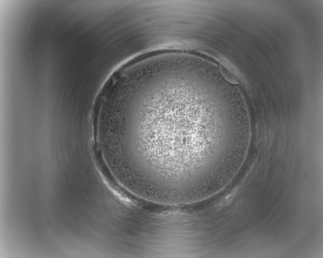 X0000068850838200605121407