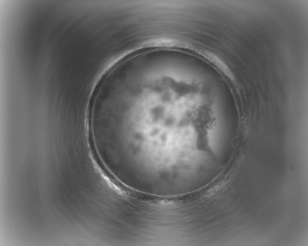 X0000068850839200605121407