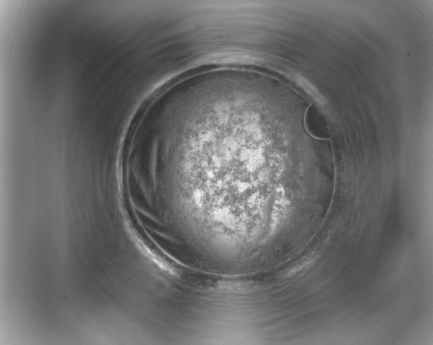 X0000068850840200605121407