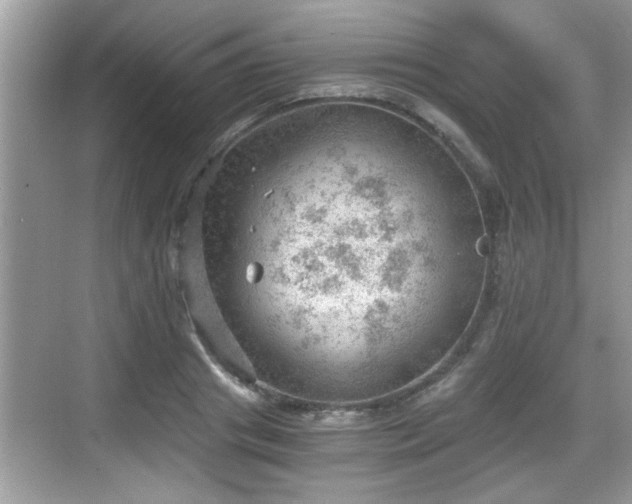 X0000068850841200605121407