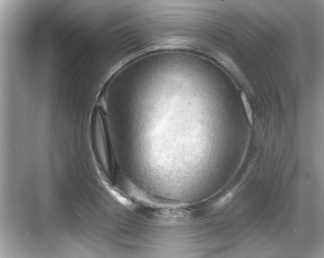 X0000068850842200605121407