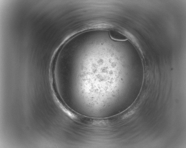 X0000068850843200605121407