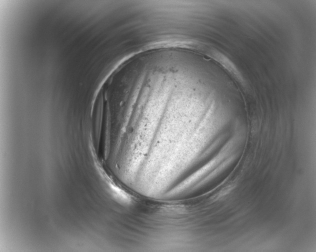 X0000068850844200605121407