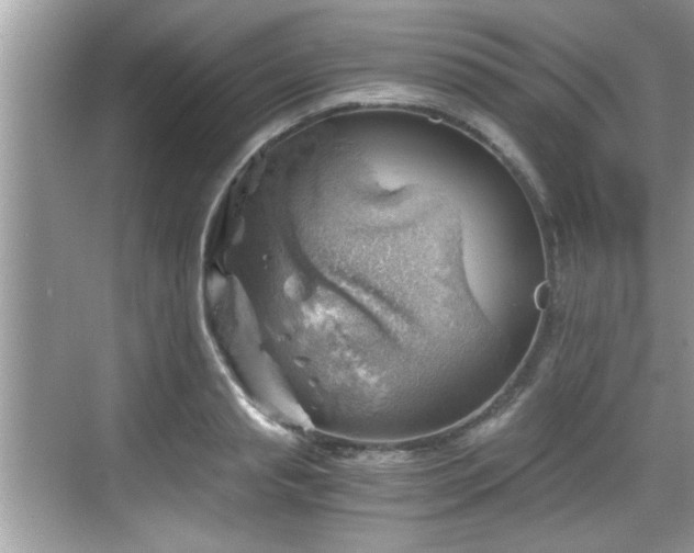 X0000068850845200605121407