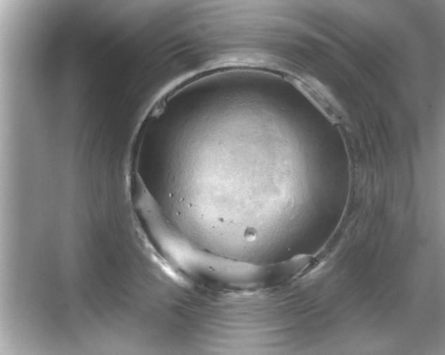 X0000068850846200605121407