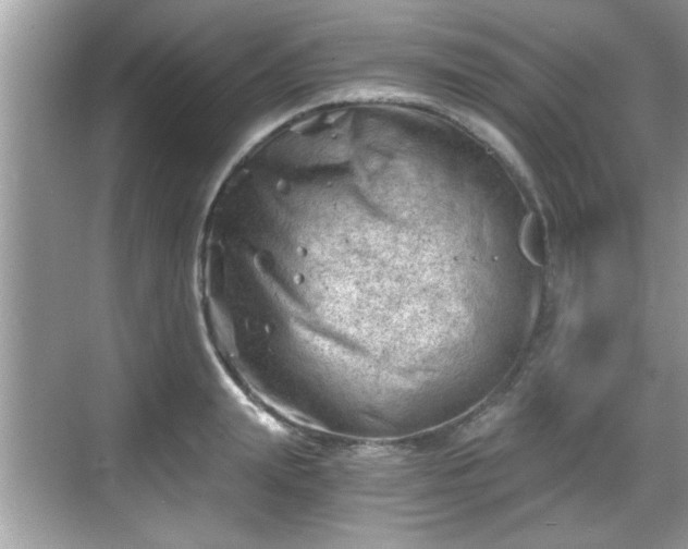 X0000068850847200605121407