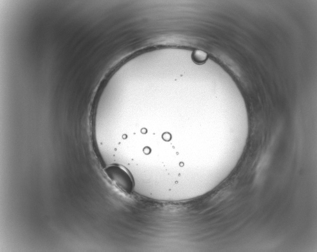 X0000068850848200605121407