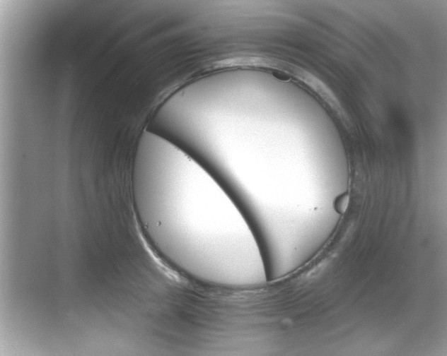 X0000068850849200605121407