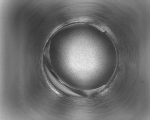 X0000068850850200605121407