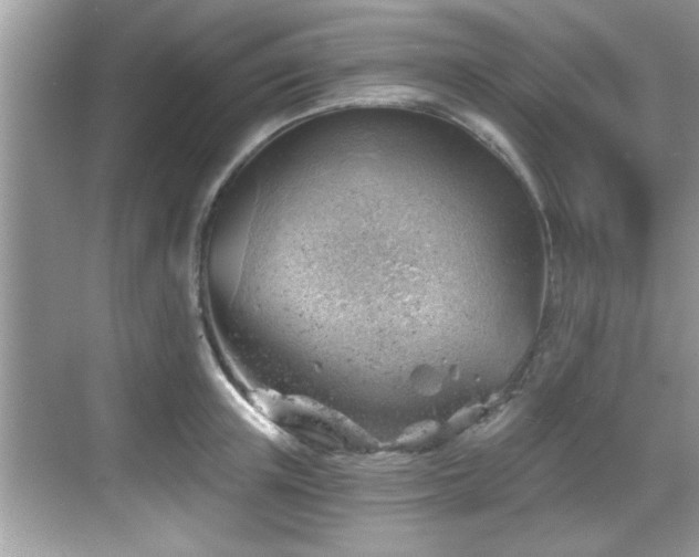 X0000068850851200605121407