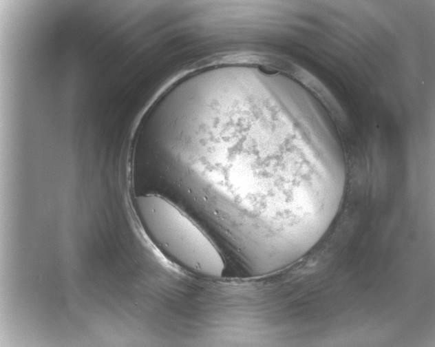 X0000068850852200605121407