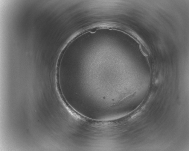 X0000068850853200605121407