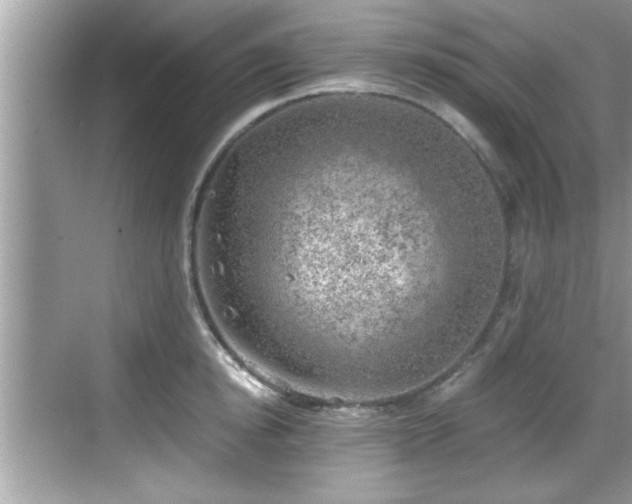 X0000068850854200605121407