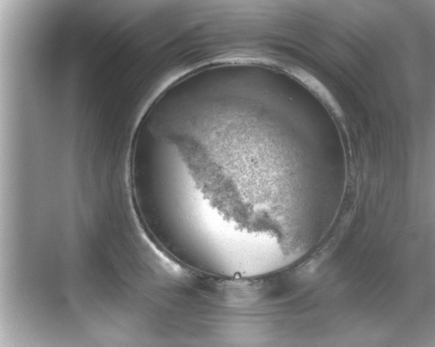 X0000068850855200605121407