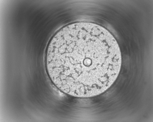 X0000068850856200605121407